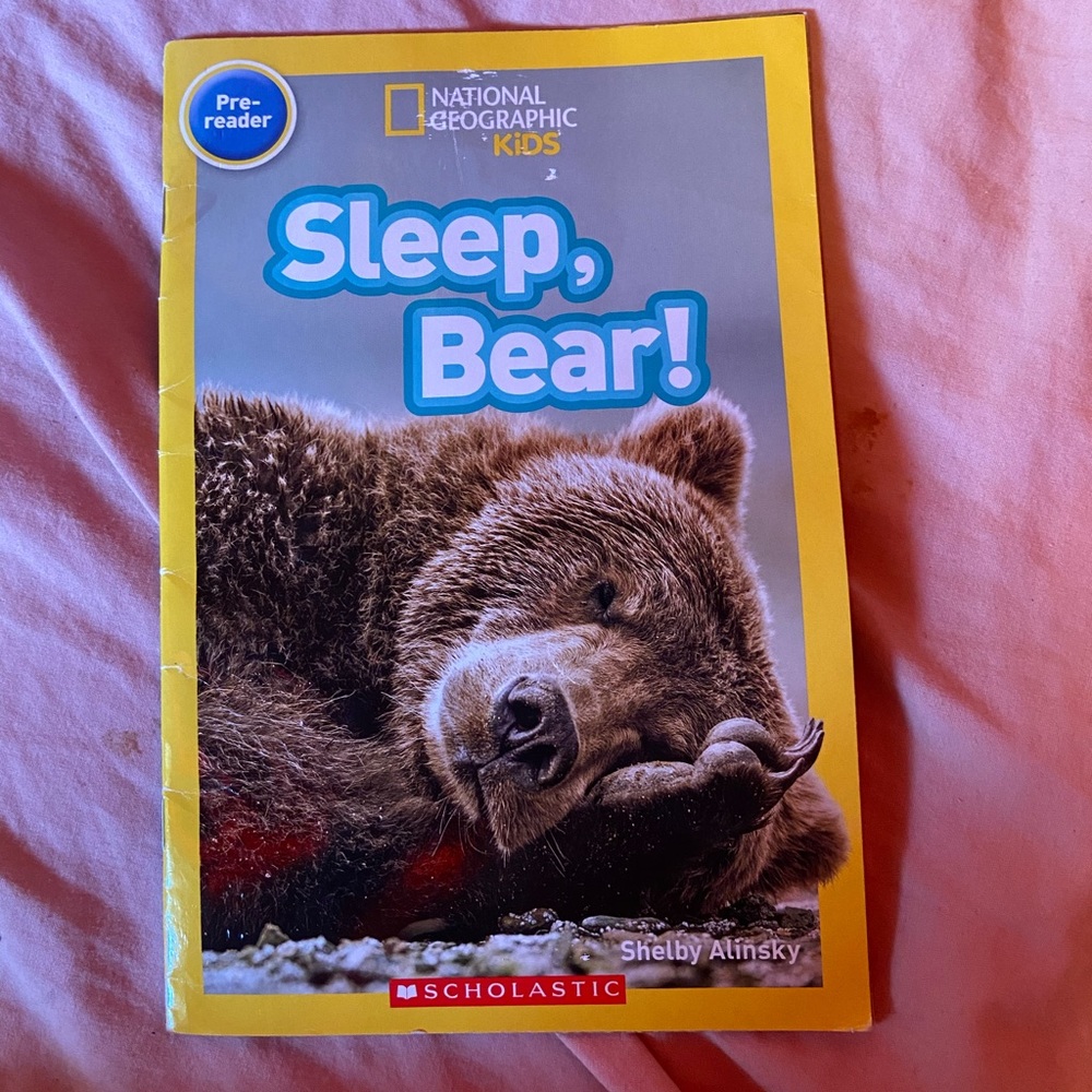 Sleep, Bear by Shelby Alinsky